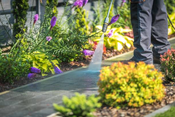 Best Sidewalk and Walkway Cleaning  in Lindenhurst, NY