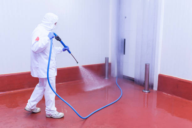 Best Paint Preparation  in Lindenhurst, NY