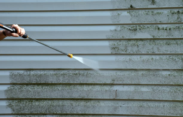 Best Gutter Cleaning  in Lindenhurst, NY